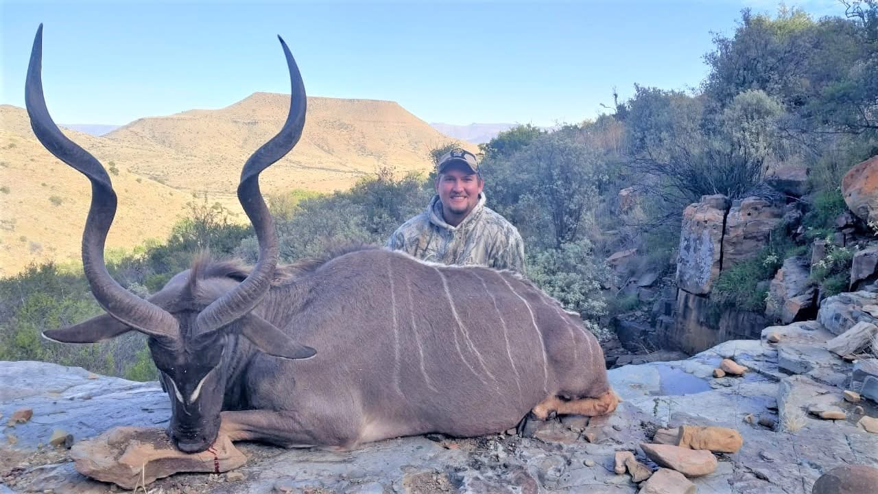 kudu
